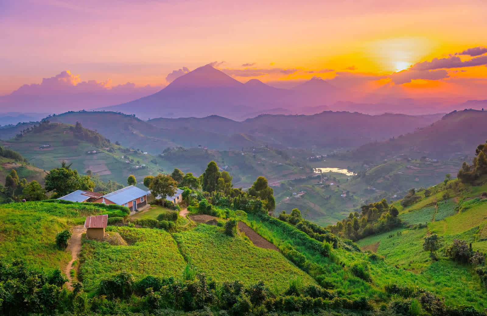 Sunset over the terraced hills of Kigezi, with the Virunga volcanoes on the horizon